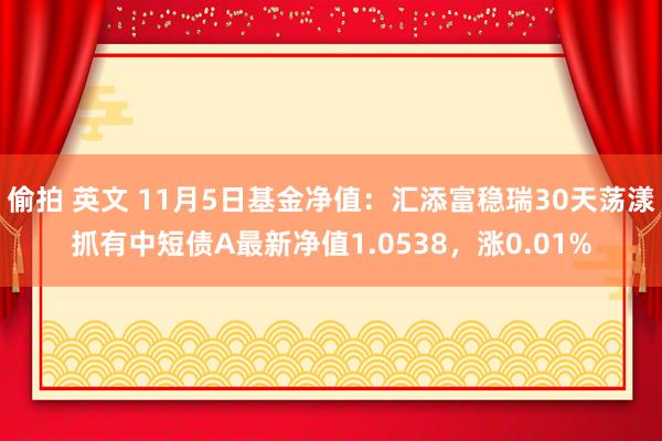 偷拍 英文 11月5日基金净值：汇添富稳瑞30天荡漾抓有中短债A最新净值1.0538，涨0.01%