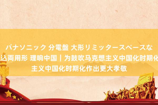 パナソニック 分電盤 大形リミッタースペースなし 露出・半埋込両用形 理响中国｜为鼓吹马克想主义中国化时期化作出更大孝敬