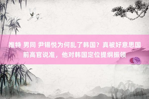 推特 男同 尹锡悦为何乱了韩国？真被好意思国前高官说准，他对韩国定位提纲振领
