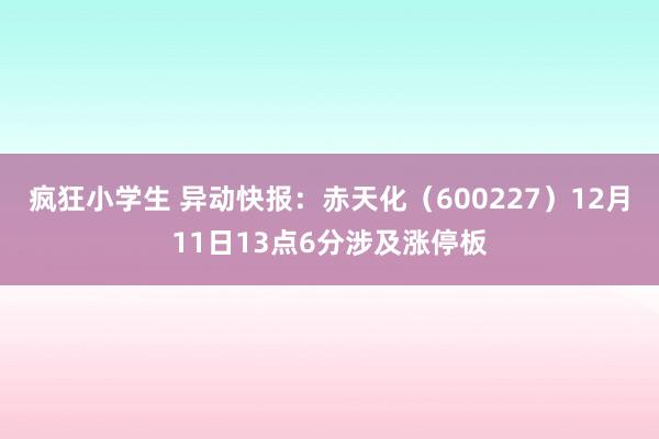 疯狂小学生 异动快报：赤天化（600227）12月11日13点6分涉及涨停板