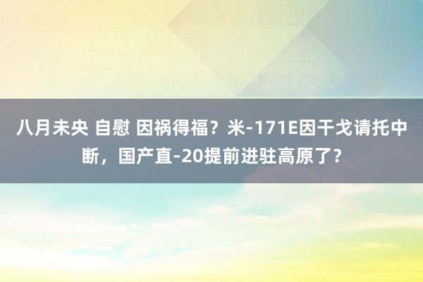 八月未央 自慰 因祸得福？米-171E因干戈请托中断，国产直-20提前进驻高原了？