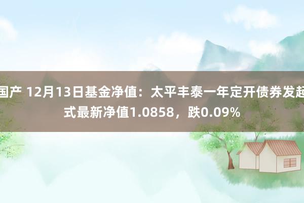 国产 12月13日基金净值：太平丰泰一年定开债券发起式最新净值1.0858，跌0.09%