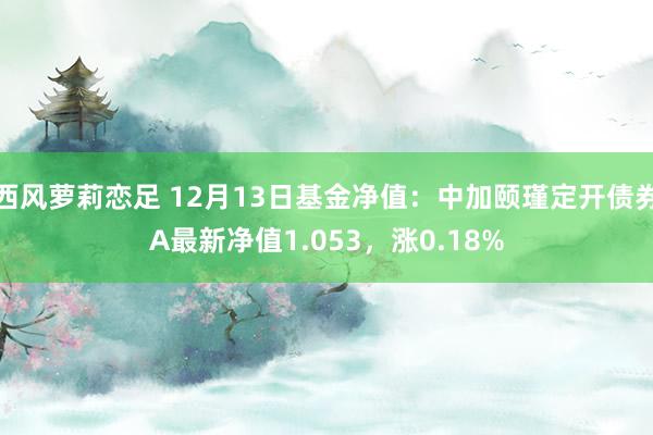 西风萝莉恋足 12月13日基金净值：中加颐瑾定开债券A最新净值1.053，涨0.18%