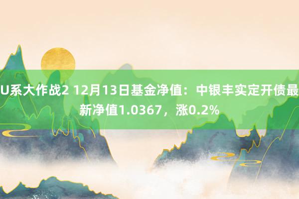 U系大作战2 12月13日基金净值：中银丰实定开债最新净值1.0367，涨0.2%