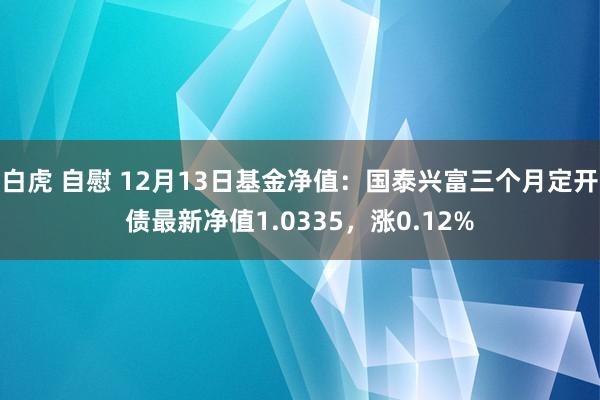 白虎 自慰 12月13日基金净值：国泰兴富三个月定开债最新净值1.0335，涨0.12%