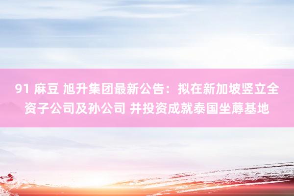 91 麻豆 旭升集团最新公告：拟在新加坡竖立全资子公司及孙公司 并投资成就泰国坐蓐基地