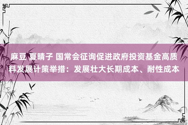 麻豆 夏晴子 国常会征询促进政府投资基金高质料发展计策举措：发展壮大长期成本、耐性成本