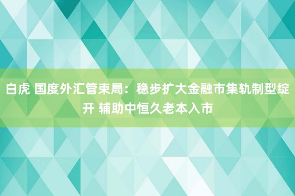 白虎 国度外汇管束局：稳步扩大金融市集轨制型绽开 辅助中恒久老本入市