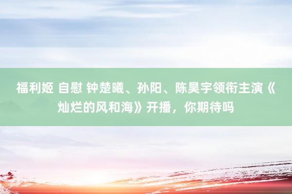 福利姬 自慰 钟楚曦、孙阳、陈昊宇领衔主演《灿烂的风和海》开播，你期待吗