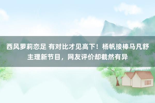 西风萝莉恋足 有对比才见高下！杨帆接棒马凡舒主理新节目，网友评价却截然有异