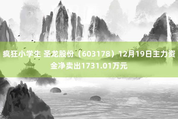 疯狂小学生 圣龙股份（603178）12月19日主力资金净卖出1731.01万元
