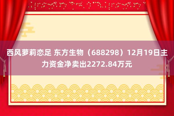 西风萝莉恋足 东方生物（688298）12月19日主力资金净卖出2272.84万元