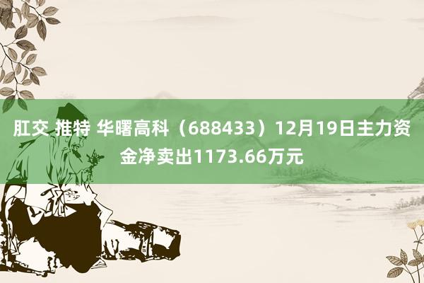 肛交 推特 华曙高科（688433）12月19日主力资金净卖出1173.66万元