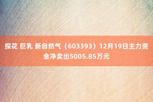 探花 巨乳 新自然气（603393）12月19日主力资金净卖出5005.85万元