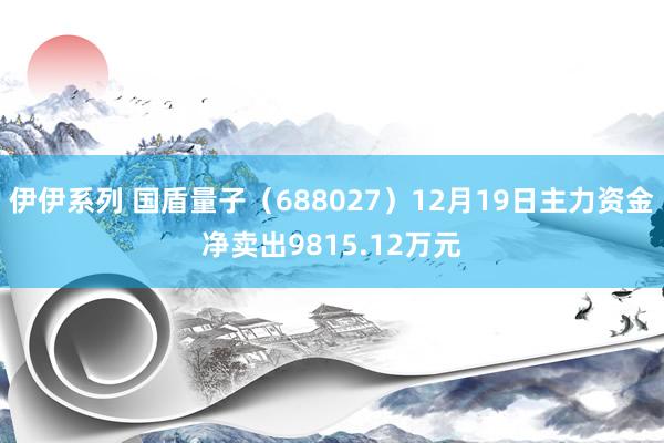 伊伊系列 国盾量子（688027）12月19日主力资金净卖出9815.12万元