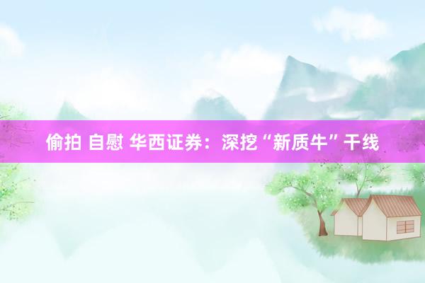 偷拍 自慰 华西证券：深挖“新质牛”干线