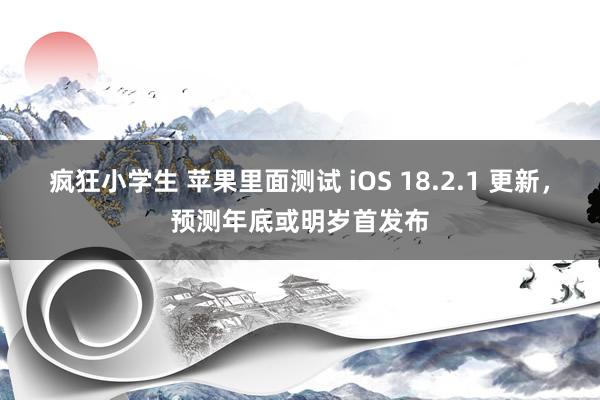 疯狂小学生 苹果里面测试 iOS 18.2.1 更新，预测年底或明岁首发布