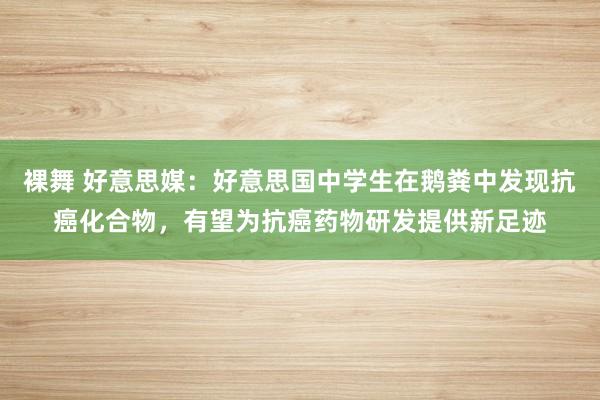 裸舞 好意思媒：好意思国中学生在鹅粪中发现抗癌化合物，有望为抗癌药物研发提供新足迹