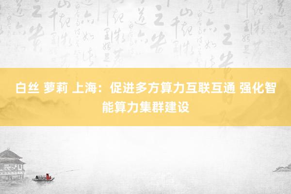 白丝 萝莉 上海：促进多方算力互联互通 强化智能算力集群建设