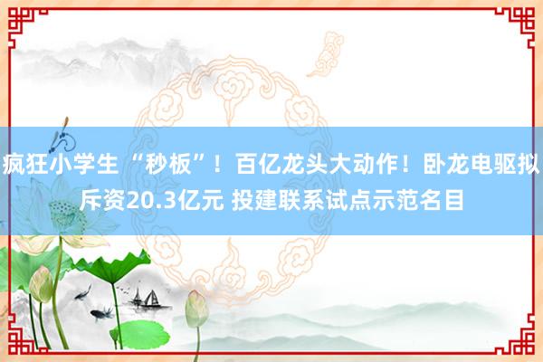 疯狂小学生 “秒板”！百亿龙头大动作！卧龙电驱拟斥资20.3亿元 投建联系试点示范名目