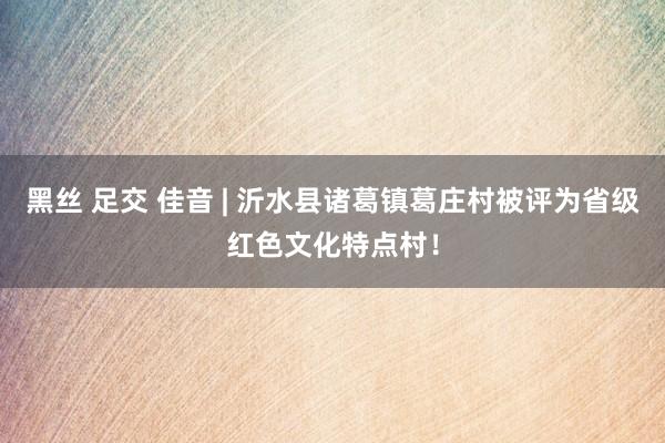 黑丝 足交 佳音 | 沂水县诸葛镇葛庄村被评为省级红色文化特点村！