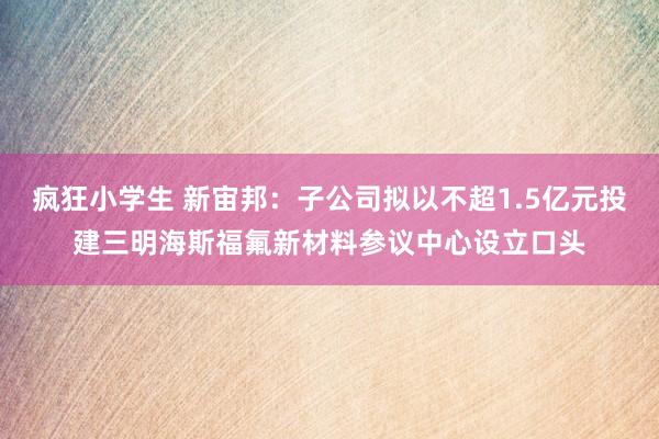 疯狂小学生 新宙邦：子公司拟以不超1.5亿元投建三明海斯福氟新材料参议中心设立口头