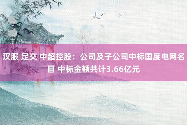 汉服 足交 中超控股：公司及子公司中标国度电网名目 中标金额共计3.66亿元