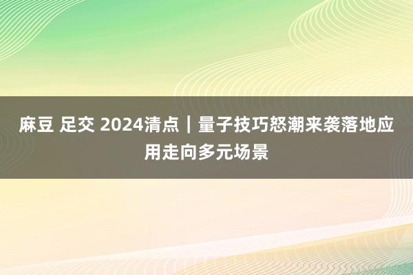 麻豆 足交 2024清点｜量子技巧怒潮来袭　落地应用走向多元场景