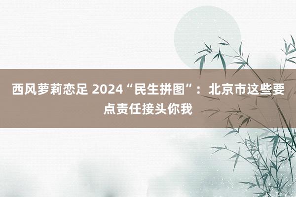 西风萝莉恋足 2024“民生拼图”：北京市这些要点责任接头你我