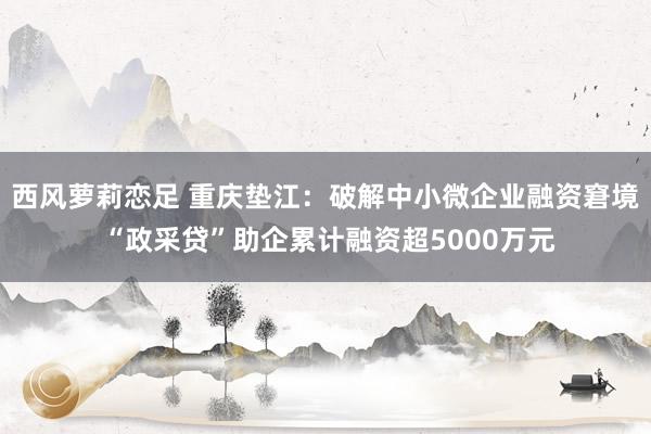 西风萝莉恋足 重庆垫江：破解中小微企业融资窘境 “政采贷”助企累计融资超5000万元