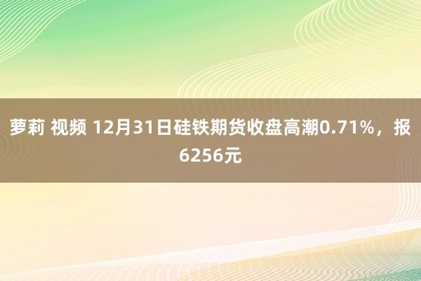 萝莉 视频 12月31日硅铁期货收盘高潮0.71%，报6256元