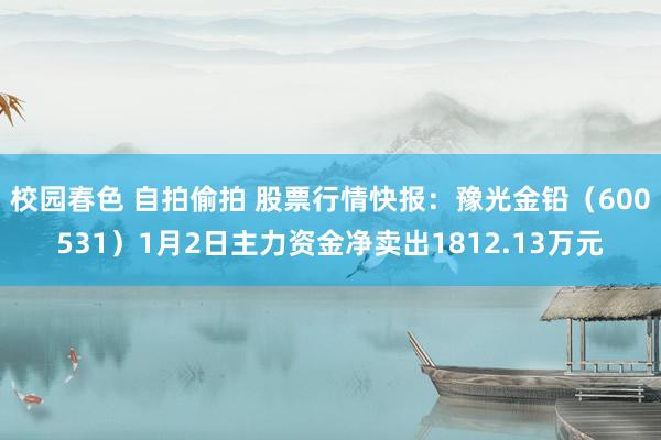 校园春色 自拍偷拍 股票行情快报：豫光金铅（600531）1月2日主力资金净卖出1812.13万元
