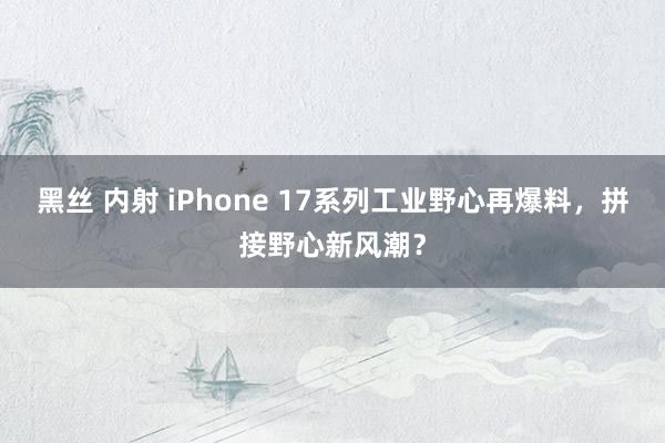 黑丝 内射 iPhone 17系列工业野心再爆料，拼接野心新风潮？
