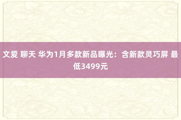 文爱 聊天 华为1月多款新品曝光：含新款灵巧屏 最低3499元
