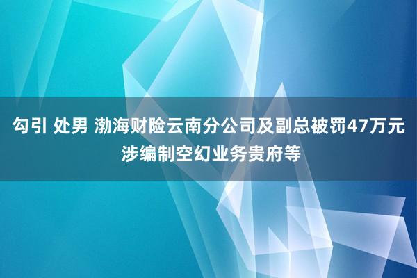 勾引 处男 渤海财险云南分公司及副总被罚47万元 涉编制空幻业务贵府等