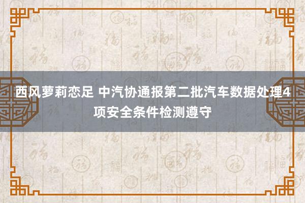 西风萝莉恋足 中汽协通报第二批汽车数据处理4项安全条件检测遵守