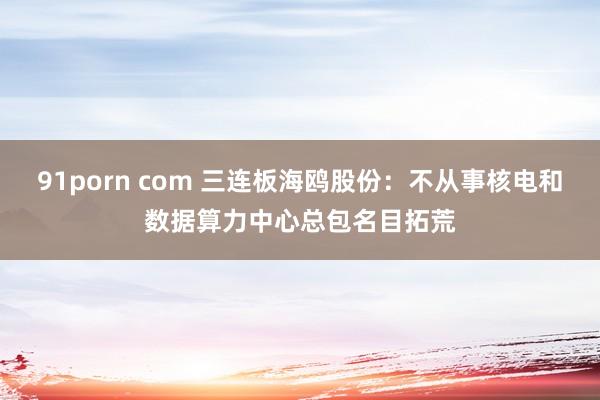 91porn com 三连板海鸥股份：不从事核电和数据算力中心总包名目拓荒