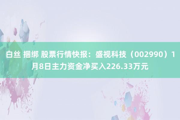 白丝 捆绑 股票行情快报：盛视科技（002990）1月8日主力资金净买入226.33万元