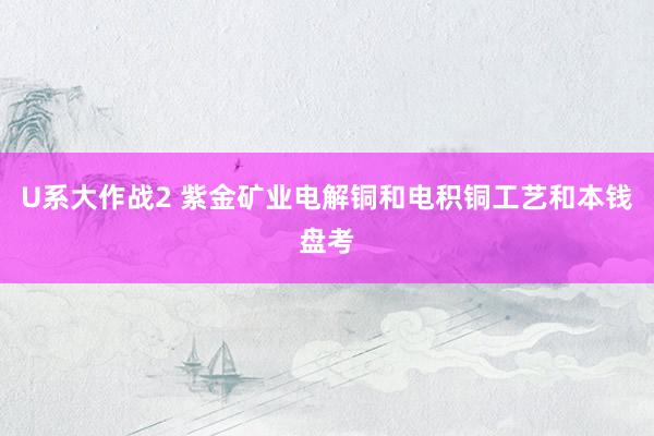 U系大作战2 紫金矿业电解铜和电积铜工艺和本钱盘考
