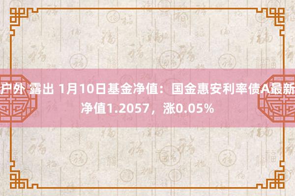 户外 露出 1月10日基金净值：国金惠安利率债A最新净值1.2057，涨0.05%