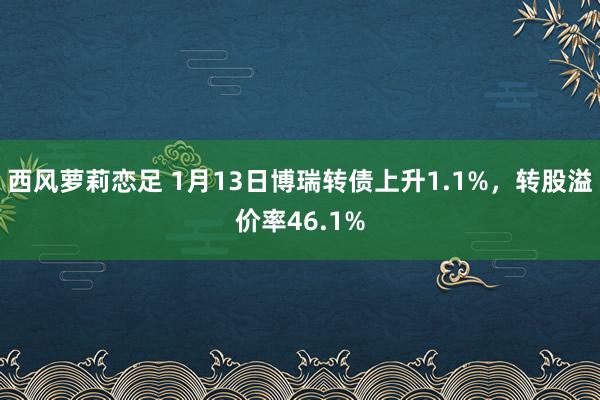 西风萝莉恋足 1月13日博瑞转债上升1.1%，转股溢价率46.1%