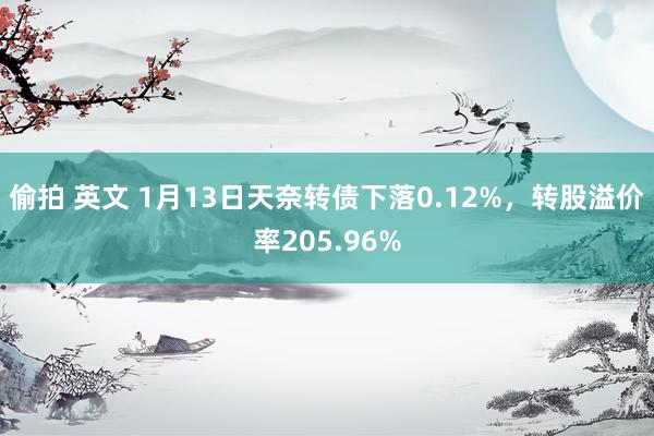 偷拍 英文 1月13日天奈转债下落0.12%，转股溢价率205.96%