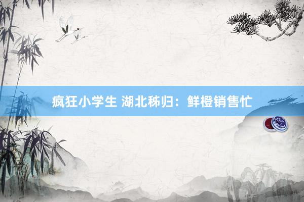 疯狂小学生 湖北秭归：鲜橙销售忙
