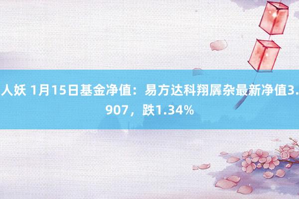 人妖 1月15日基金净值：易方达科翔羼杂最新净值3.907，跌1.34%