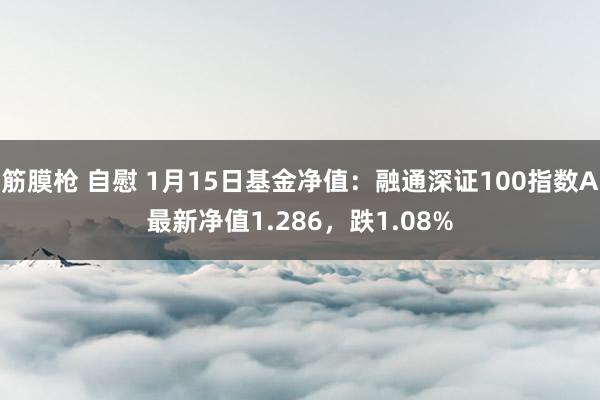 筋膜枪 自慰 1月15日基金净值：融通深证100指数A最新净值1.286，跌1.08%