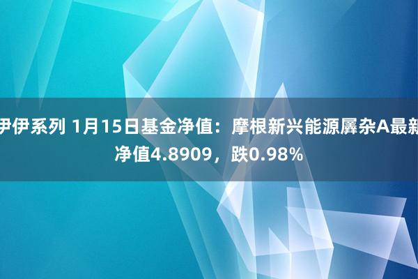 伊伊系列 1月15日基金净值：摩根新兴能源羼杂A最新净值4.8909，跌0.98%