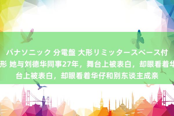 パナソニック 分電盤 大形リミッタースペース付 露出・半埋込両用形 她与刘德华同事27年，舞台上被表白，却眼看着华仔和别东谈主成亲