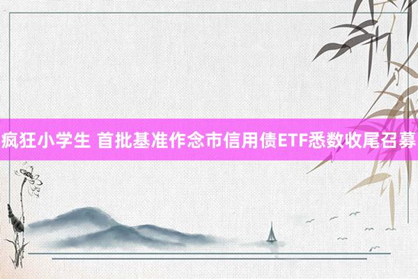 疯狂小学生 首批基准作念市信用债ETF悉数收尾召募