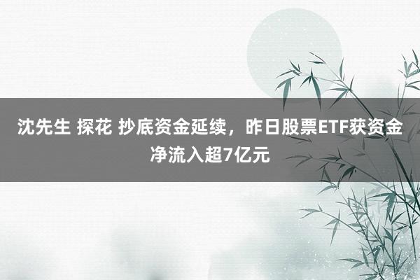 沈先生 探花 抄底资金延续，昨日股票ETF获资金净流入超7亿元