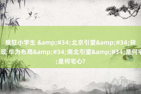 疯狂小学生 &#34;北京引望&#34;转眼出现 华为布局&#34;南北引望&#34;是何宅心?